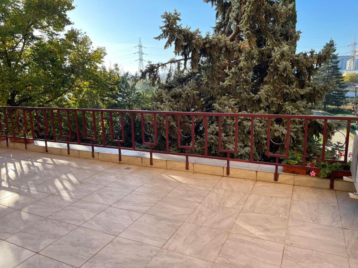 Hotel Flora Ντρομπέτα-Τούρνου Σεβερίν Εξωτερικό φωτογραφία
